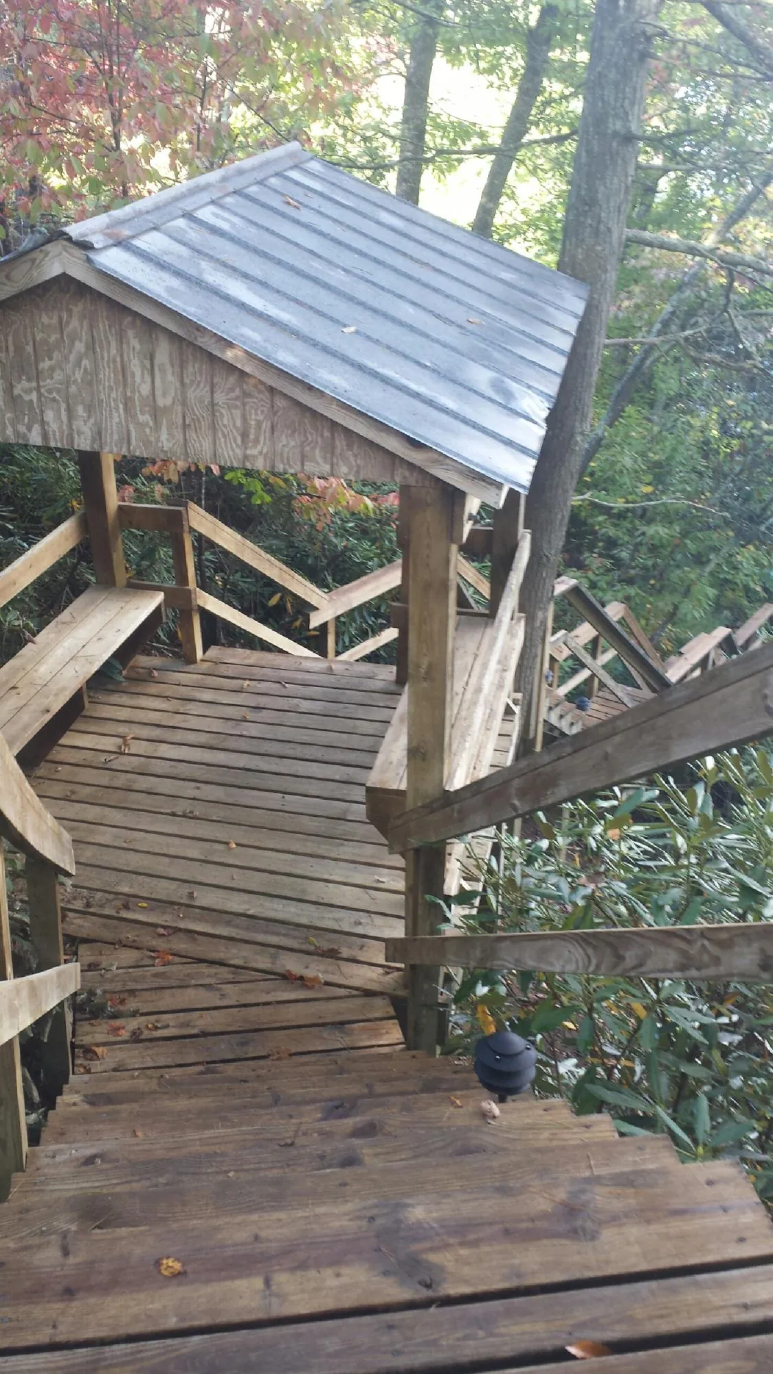 Metal roofed shelter over wooden steps on a wooded walkway — Skylight Repair & Installation work by our crew in Mesick